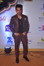 Gautam Gulati at Gold Awards in Filmistan on 4th June 2015